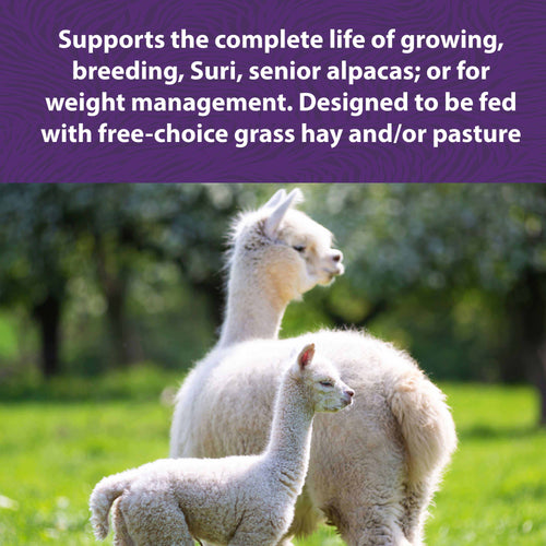 MAZURI® ALPACA COMPLETE LIFE (40 lbs)