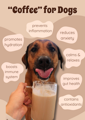 Barkista Caramel Latte K-9™ Cups Dog Coffee (Caramel Latte)