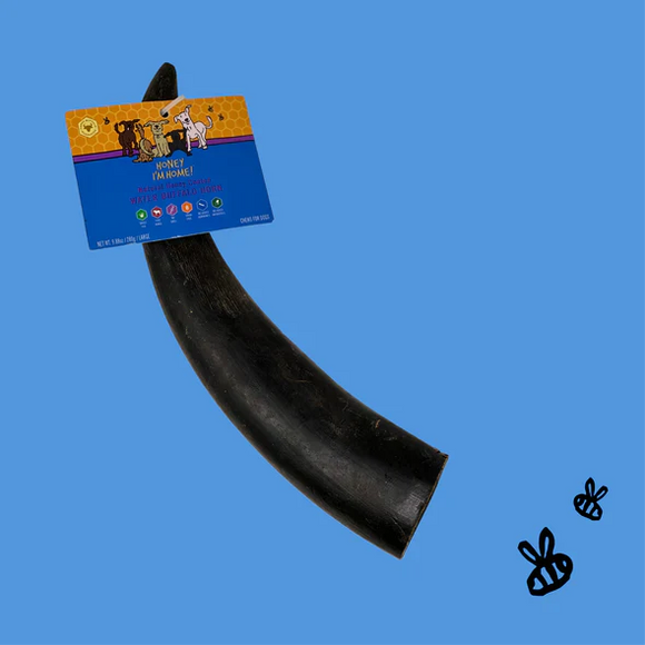 Honey I'm Home! Buffalo Large Horn Dog Treats