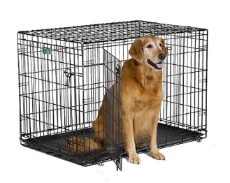 Midwest iCrate 1542DD Double Door Folding Dog Crate