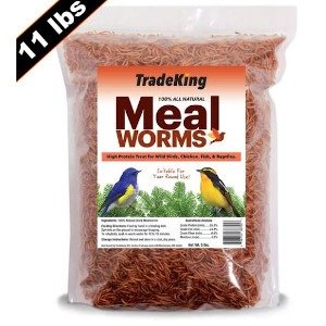 TradeKing Dried Mealworms