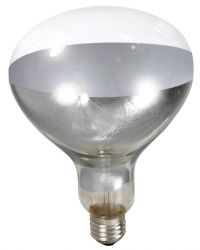 Miller Heat Lamp Bulb 250 Watt (Clear)