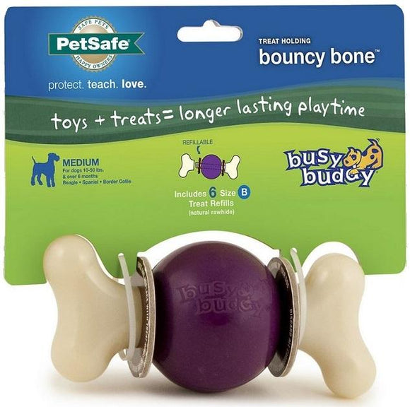PETSAFE Busy Buddy Kibble Nibble Treat Dispenser Dog Toy, Medium/Large 