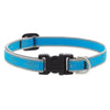 Lupine Pet Reflective Dog Collar