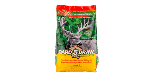 Evolved Harvest 5 Card Draw Annual Food Plot Seed