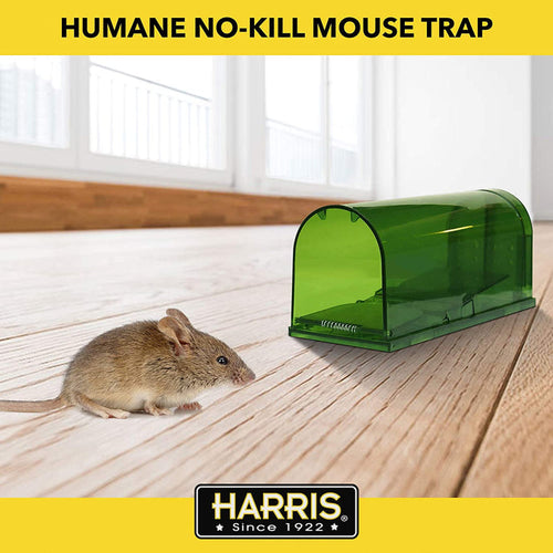 Harris Humane Mouse Trap, Catch & Release (1 Pack)