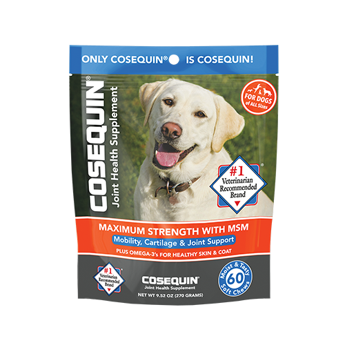 COSEQUIN® Maximum Strength with MSM Plus Omega-3’s Soft Chew (60 count)