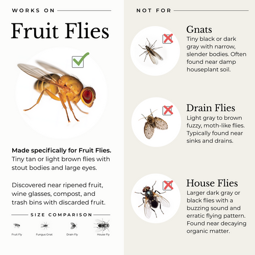 Wondercide Fruit Fly Trap for Home + Kitchen (5.4 oz)