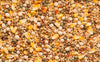 Purgrain Pigeon Feed Breeder/ Conditioner 16% SYC