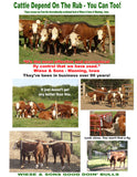 P H White Cow Life Cattle Rub Feeders & Plans
