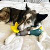 Kong Shimmy Shaker Mallard Dog Toy