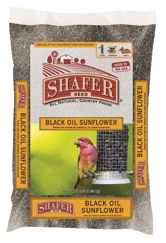 Shafer Seed Black Oil Sunflower Seed 20 lb