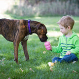 KONG Easy Treat™ To Go Puppy