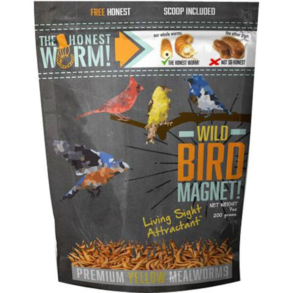 THE HONEST WORM! WILD BIRD MAGNET