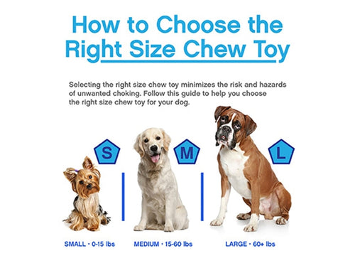 JW Chompion Dog Chew Toy