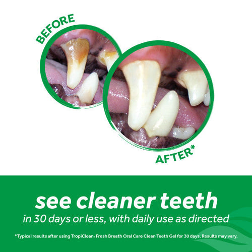 TropiClean Fresh Breath No Brushing Total Care Clean Teeth & Oral Care Gel Kit