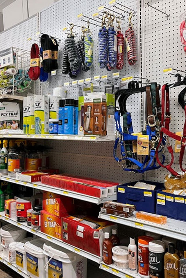 Horse Feed and Supplies
