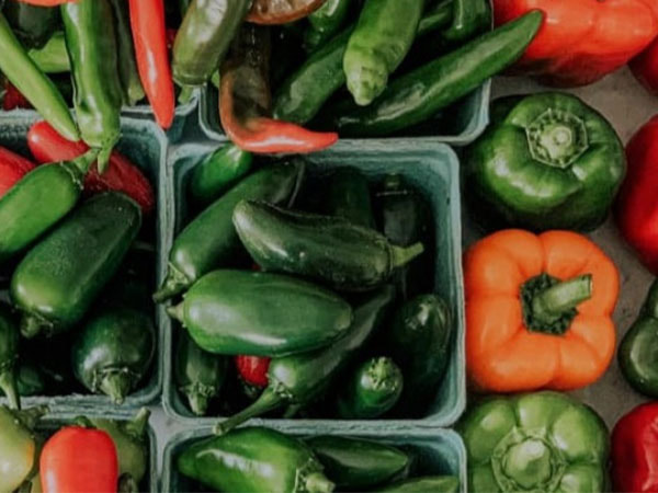 LAWN-AND-GARDEN-SUPPLIES-blurb