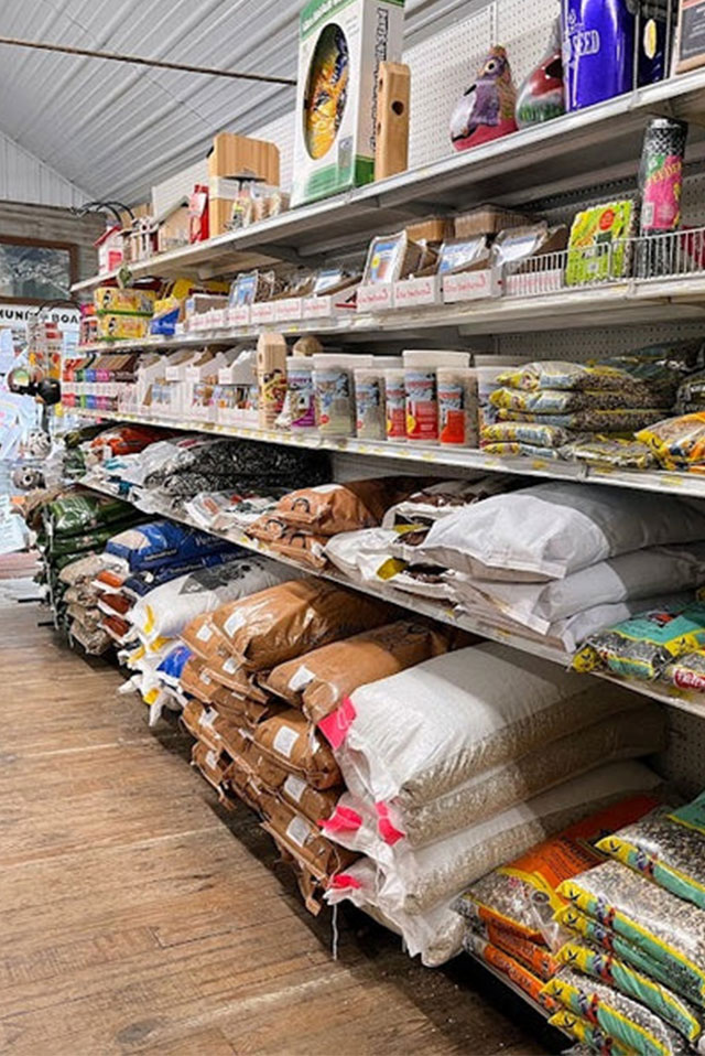 Wild Bird Feed and Supplies
