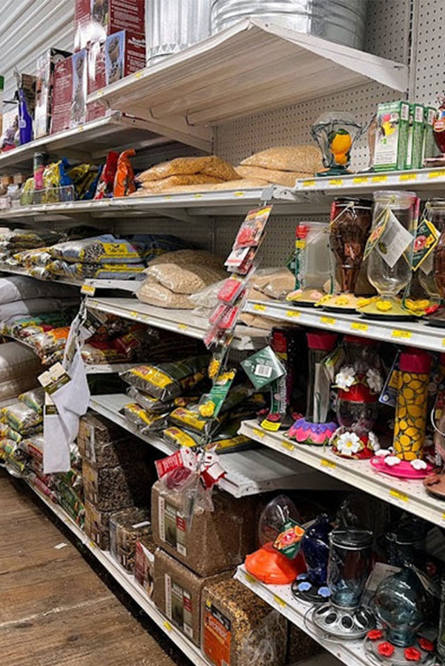 Wild Bird Feed and Supplies
