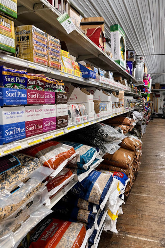 Wild Bird Feed and Supplies