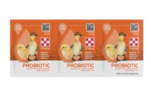 PUR CHICK ELECTROLYTE 3PK