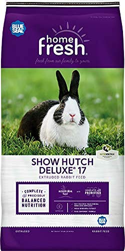 BS RABBIT SHOW HUTCH 50LB