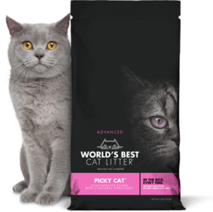 WRLD BST LITTER PICKY CAT 24#