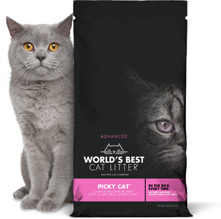 WRLD BST LITTER PICKY CAT 24#