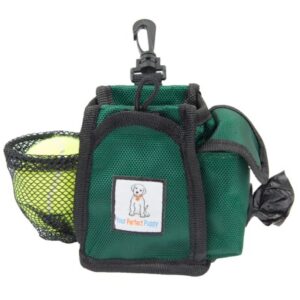 BAYDOG FRISCO TREAT POUCH GREEN