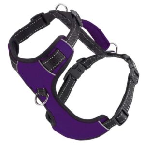 BAYDOG CHESAPEAKE HRNS PURPLE LG