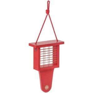 SUET FEEDER RECYCLE RED W/ TAIL