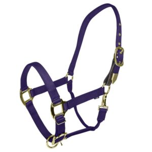 HALTER GATSB G SAFETY COB PURP