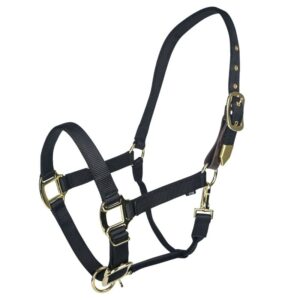 HALTER GATSB G SAFETY PONY BLK
