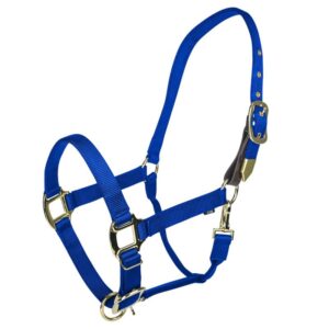 HALTER GATSB G SAFETY PONY BLUE