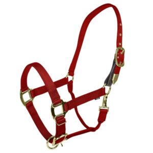 HALTER GATSB G SAFETY COB RED
