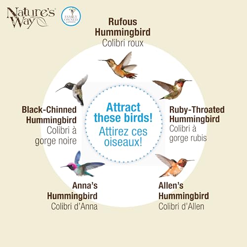 LILAC DREAM ANT HUMM FDR GLASS - Image 3