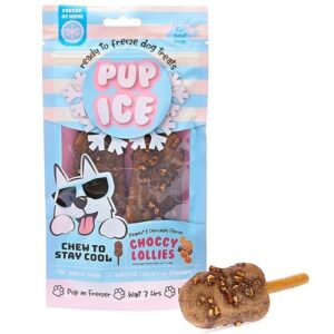 PUP ICE PB CHOCCY LOLLY 2PK
