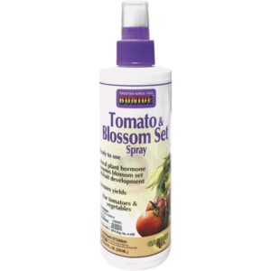 TOMATO BLSSM SET SPRAY 8OZ