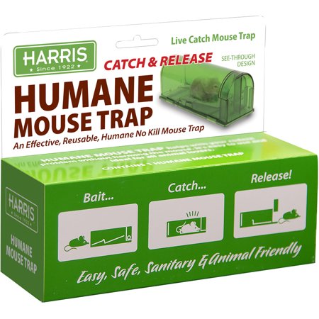 CATCH AND RELEASE MOUSE TRAP