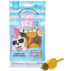 PUP ICE PNAPPLE FRUITY LOLLY 2PK