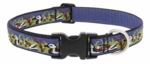 1" DOG COLLAR 12-20" DUCK