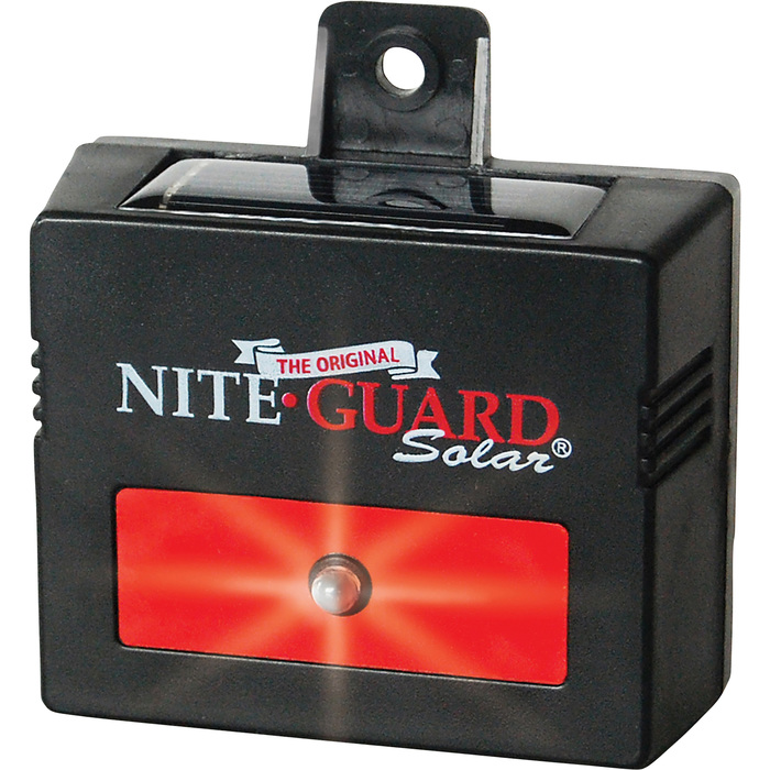 NITE-GUARD SOLAR LIGHT