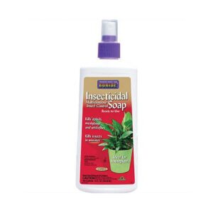 INSECTICIDAL SOAP SPRAY 12OZ