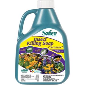 SAFER CONC INSECT SOAP PT