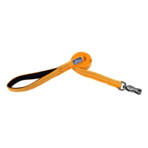 COASTAL 36936 DES06 6' LEASH