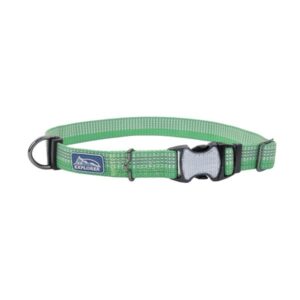 COASTAL K9 MDW26 COLLAR