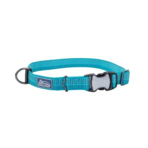 COASTAL K9 OCE26 COLLAR