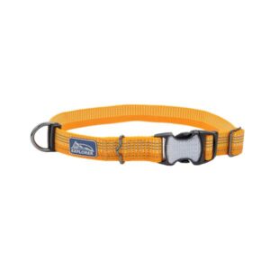 COASTAL K9 DES14 COLLAR
