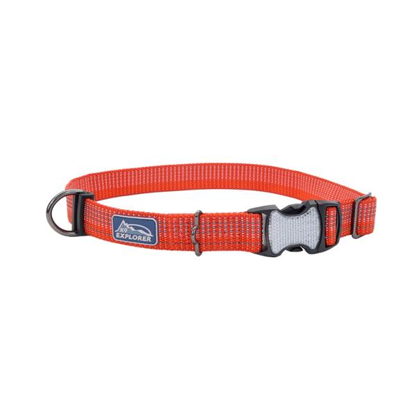 COASTAL K9 CYN12 COLLAR